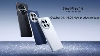 OnePlus 13