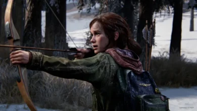 The Last of Us