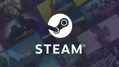 Steam